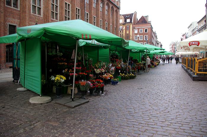 imgp1248.jpg